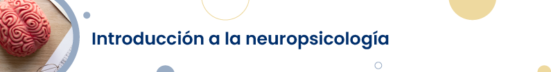 Banner - P2023010 Introducción a la neuropsicología